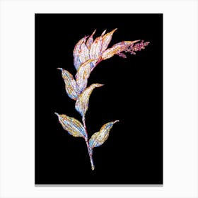 Stained Glass Treacleberry Mosaic Botanical Illustration on Black n.0072 Canvas Print