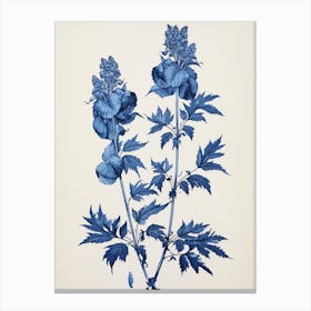 Blue Botanical Aconitum 3 Canvas Print