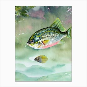 Yellowtail Snapper Storybook Watercolour Canvas Print