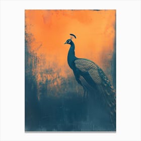 Orange & Blue Vintage Peacock Portrait Canvas Print