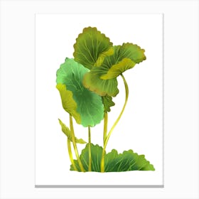 Ginkgo Leaf 1 Canvas Print