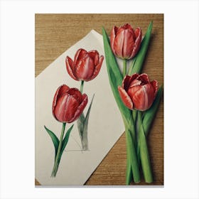 Tulips 4 Canvas Print