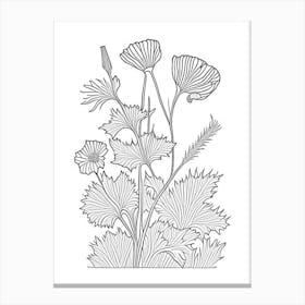 Maca Herb William Morris Inspired Line Drawing 1 Canvas Print
