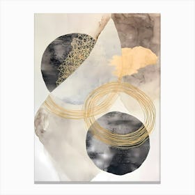 Abstract elegance Circles Canvas Print