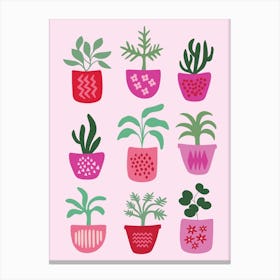 Pot Plants Canvas Print
