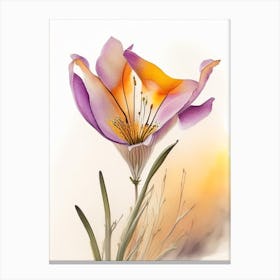 Desert Mariposa Lily Wildflower Watercolour 2 Canvas Print