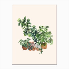 Plant Gang 7 Canvas Print