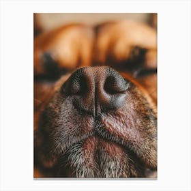 Close Up Of A Dog'S Nose.Generated AI. Art Print 1 Canvas Print