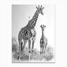Giraffe & Calf Pencil Portrait  3 Canvas Print