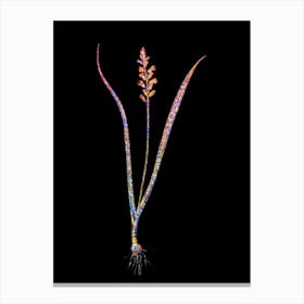 Stained Glass Lachenalia Pallida Mosaic Botanical Illustration on Black n.0170 Canvas Print