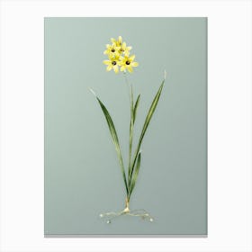 Vintage Ixia Fusco Citrina Botanical Art on Mint Green n.0353 Canvas Print