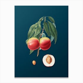 Vintage Peach Botanical Art on Teal Blue n.0725 Canvas Print