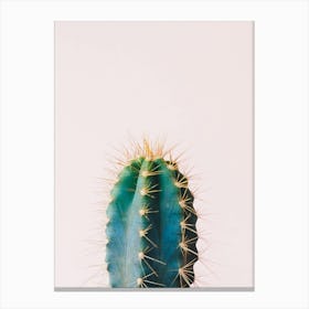 Cactus Canvas Print