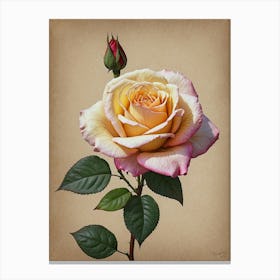 Rose flowers Canvas Print