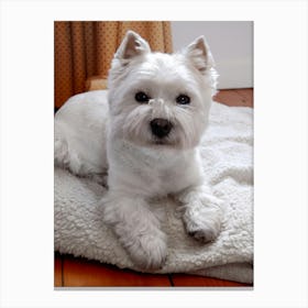 Maevey the Westie Canvas Print