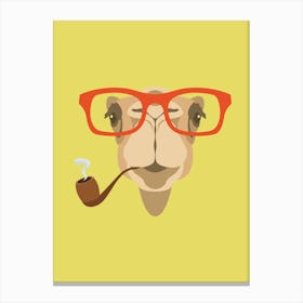 Camel With A Pipe Canvas Print