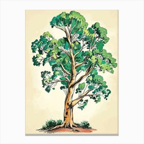 Eucalyptus Tree Storybook Illustration 1 Canvas Print