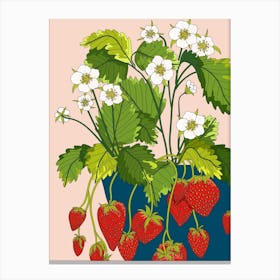 Strawberry Pot Canvas Print