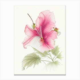 Hibiscus Floral Quentin Blake Inspired Illustration 1 Flower Canvas Print