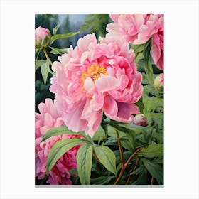 Pink Peonies 10 Canvas Print