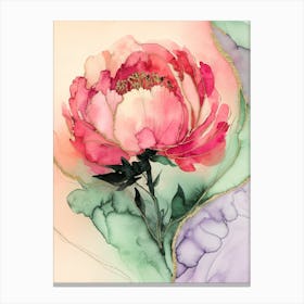 Peony Canvas Print