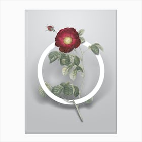 Vintage Rose Minimalist Botanical Geometric Circle on Soft Gray n.0038 Canvas Print