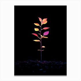 Tree In The Dark 23 Canvas Print