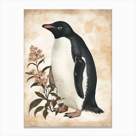 Adlie Penguin Deception Island Vintage Botanical Painting 2 Canvas Print