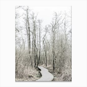Path Through Woods In The Nature Of The Netherlands Canvas Print