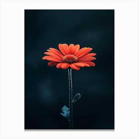 Gerbera Flower Canvas Print