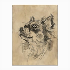 Tibetan Spaniel Dog Charcoal Line 4 Canvas Print