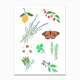 Herbal Gardern Canvas Print