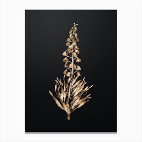 Gold Botanical Persian Lily on Wrought Iron Black Canvas Print