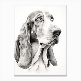 Basset Hound Dog, Line Drawing 4 Canvas Print