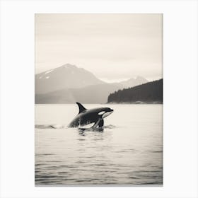Realistic Black & White Photography Of Orca Whale Diving Out Of Ocean 1 Canvas Print