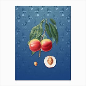 Vintage Peach Botanical on Bahama Blue Pattern n.1854 Canvas Print