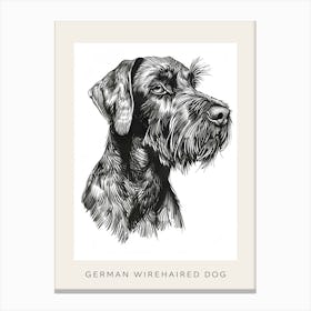 German Wirehaired Dog Line Sketch 3 Poster Canvas Print