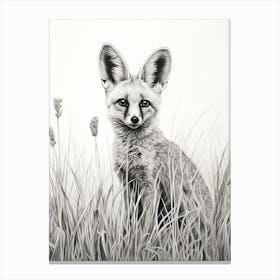 Bat Eared Fox In A Field Pencil Drawing 3 Canvas Print