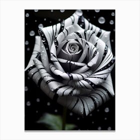 Black And White Rose 6 Canvas Print