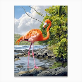 Greater Flamingo Galapagos Islands Ecuador Tropical Illustration 7 Canvas Print