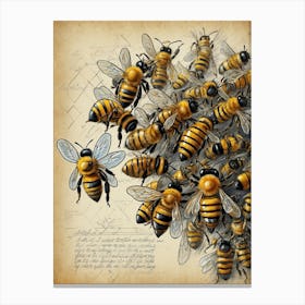 Beess Canvas Print