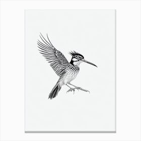 Roadrunner B&W Pencil Drawing 2 Bird Canvas Print