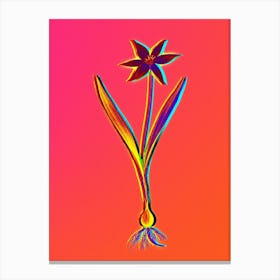Neon Tulipa Celsiana Botanical in Hot Pink and Electric Blue n.0519 Canvas Print