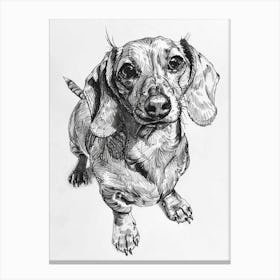Dachshund Dog Line Sketch 1 Canvas Print