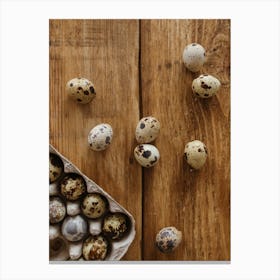 Quail Eggs 29 Canvas Print