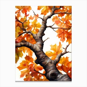 Autumn Leaves On A Tree Canvas Print