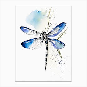 Slaty Skimmer Dragonfly Minimalist Watercolour 1 Canvas Print