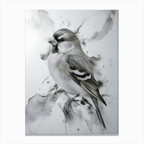 Finch Canvas Print