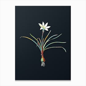 Vintage Rain Lily Botanical Watercolor Illustration on Dark Teal Blue n.0461 Canvas Print