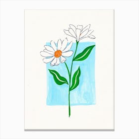 White Daisy flowers Canvas Print